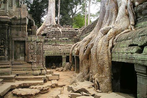 Ta Prohm Temple: Megalithic Cambodia - The Ancient Connection