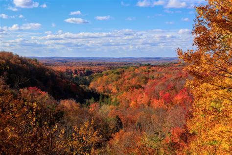 Jordan River Valley Stock Photos, Pictures & Royalty-Free Images - iStock