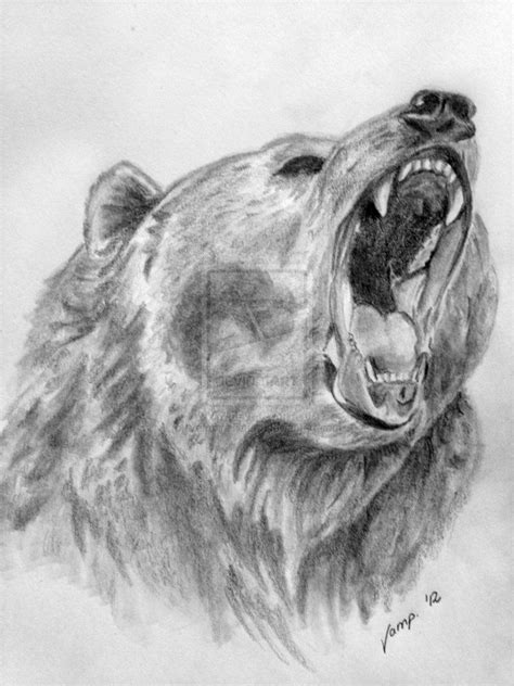 realistic bear drawing by VempireTattoo on DeviantArt | Bear sketch, Bear drawing, Grizzly bear ...