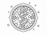 Dna Helix Coloring Fun  Page sketch template