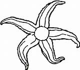 Free Starfish Coloring Download Png Images  sketch template