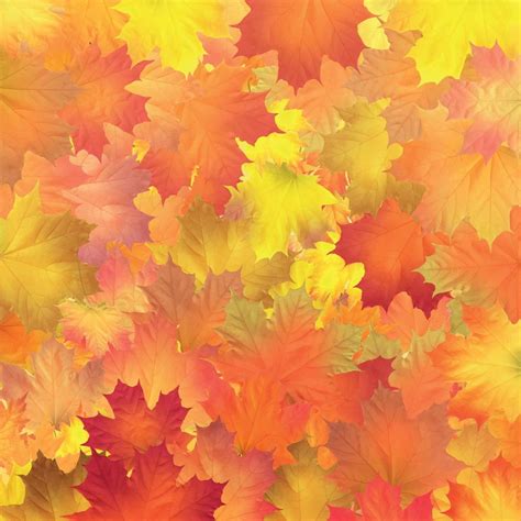 Red, orange, brown and yellow autumn leaves. Vector 3484084 Vector Art at Vecteezy