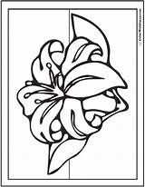 Lily Coloring Pages Customize 12  PDF Printables sketch template