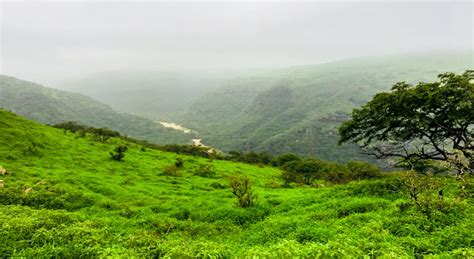 How To Celebrate Khareef In Salalah: Everything You Need To Know