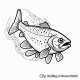 Trout Coloring Pages  Free & Printable sketch template