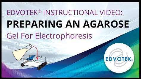 Preparing an Agarose Gel For Electrophoresis - Edvotek Video Tutorial ...