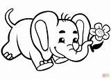 Cute Baby Elephant With Flower coloring page  Free Printable Coloring sketch template