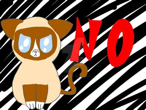 Grumpy Cat NO! by CatScratch57 on DeviantArt