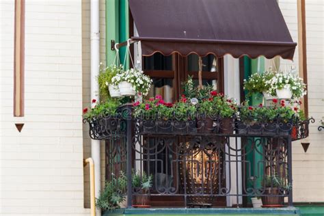 Flower Pots with Beautiful Flowers on Balcony Stock Photo - Image of ...