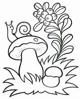 Free Printable Mushroom Coloring Pages sketch template
