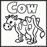 Cow Printable Coloring Pages  Home sketch template