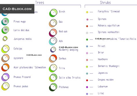 Symbols of Trees, Shrubs AutoCAD Symbols, CAD file download free