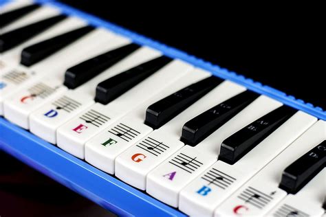 Piano Stickers for 32/37 Key Melodica-Transparent and Removable - Quality Music Gear