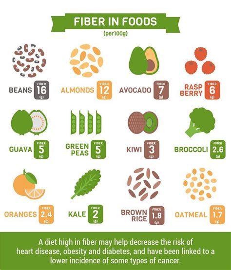 Why Fiber Is More Important than You Think: 4 Key Health Benefits - The ...