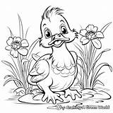 Yellow Duck Coloring Pages  Free & Printable sketch template