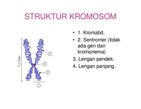 MATERI PELAJARAN IPA KELAS 9 SMP