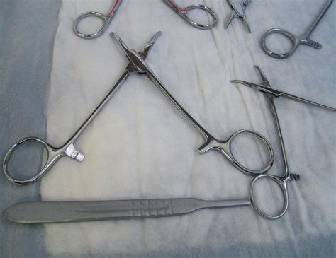 Assorted Surgical Instruments Free Stock Photo - Public Domain Pictures