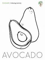 Avocado Coloring Page At GetColoringscom  Free Printable Colorings sketch template