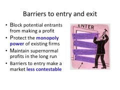 Barriers to Entry Explained