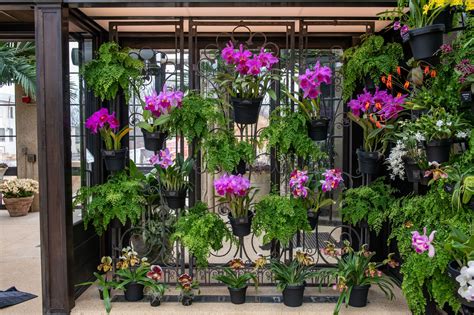 Longwood Gardens Unveils A Newly Restored Orchid House,, 51% OFF