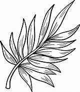 Palm Branch Coloring Pages sketch template