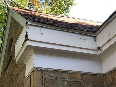 HOW TO REPLACE ROTTED FASCIA BOARDS - The Honest Carpenter in 2020 | Fascia board, Fascia, Image ...