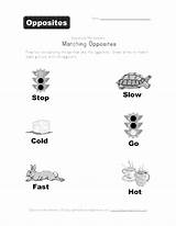 Opposites Preschool Worksheets Coloring Printable Kids Worksheet  sketch template