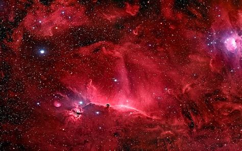 The horsehead nebula 1080P, 2K, 4K, 5K HD wallpapers free download ...