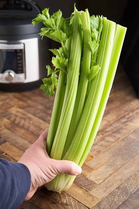 A Stalk of Celery vs a Rib of Celery? - DadCooksDinner