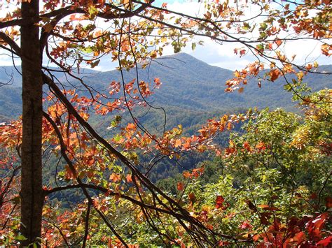 Great Smoky Mountain National Park - Smoky Mountain Golden Cabins