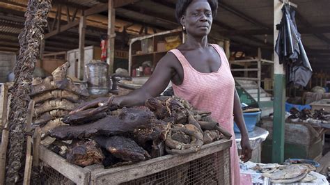 Is Bushmeat Spreading Diseases in Ghana? - The Atlantic