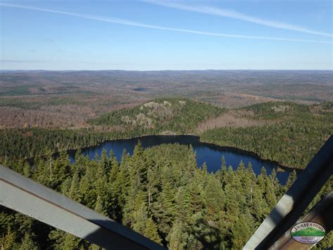 North Maine Woods View From Fire Tower