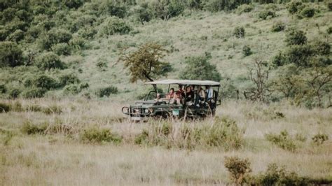 Kabini Elephant Camp | The Serai Kabini