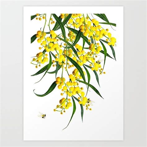 The Golden Wattle Vol.2 Art Print by meiyong | Society6 | Yellow flowers painting, Art prints ...