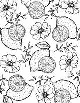 Printable Lemon Coloring Pages  Coloring/ Adult sketch template