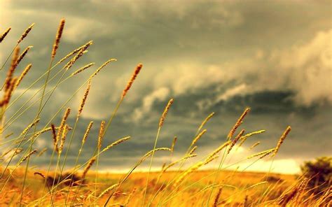 Wind Wallpapers - Top Free Wind Backgrounds - WallpaperAccess