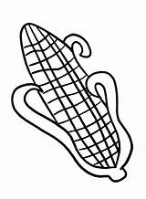 Corn Coloring Pages Printable For Free Download sketch template