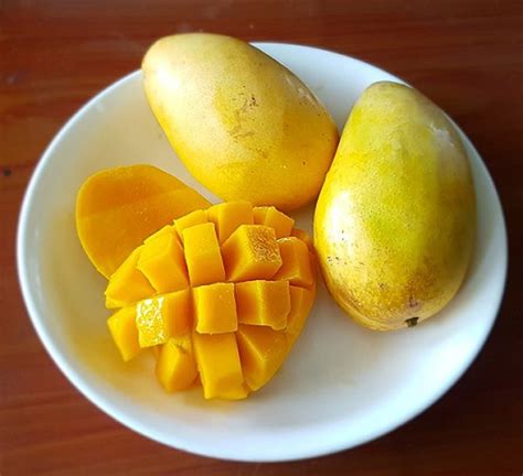 To boost mango exports from eastern region, sixteen varieties of mangoes including three GI ...