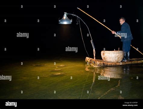 Cormorant Night Fishing in China Stock Photo - Alamy