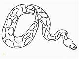 Garter Snake Coloring Page  Divyajanan sketch template