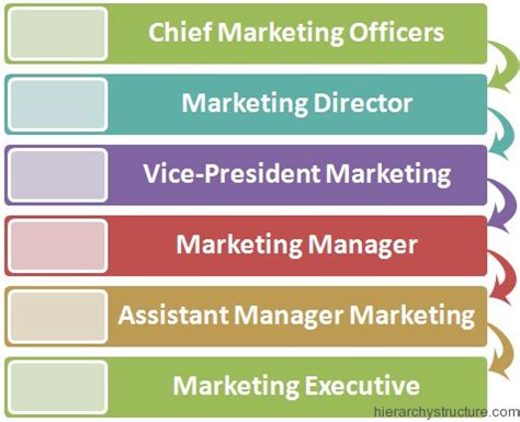 Marketing Department Corporate Hierarchy | Hierarchy Structure