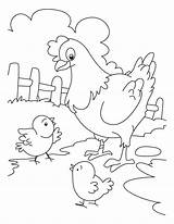 Cute Chicken Coloring Pages Coloring Pages sketch template