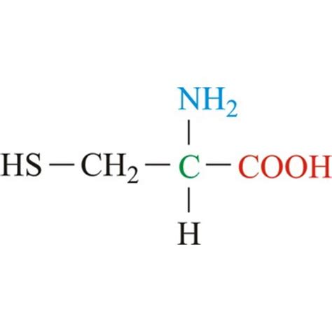 Chemistry Glossary: Search results for 'cysteine'