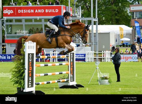 Show jumping at Royal Highland Show 2015, Ingliston, Edinburgh ...