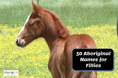 400 Lovely Baby Horse Names for Your Colt & Filly