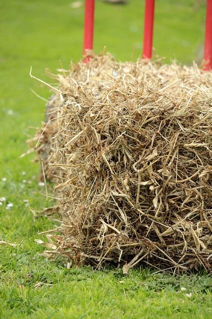 Straw Bale Gardening | Home Mum