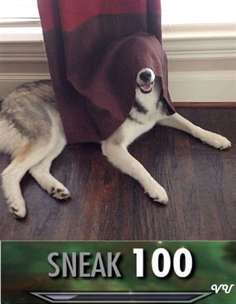 sneak 100 - Meme by vAnilla_unicorn :) Memedroid