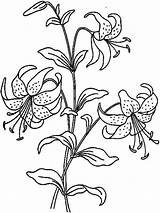 Printable Flower Vase Coloring Pages sketch template