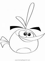 Bubbles Angry Birds Coloring Page For Kids  Free Printable sketch template