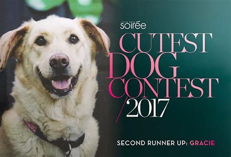 Meet the Winner of Soirée's 2017 Cutest Dog Contest | Little Rock ...